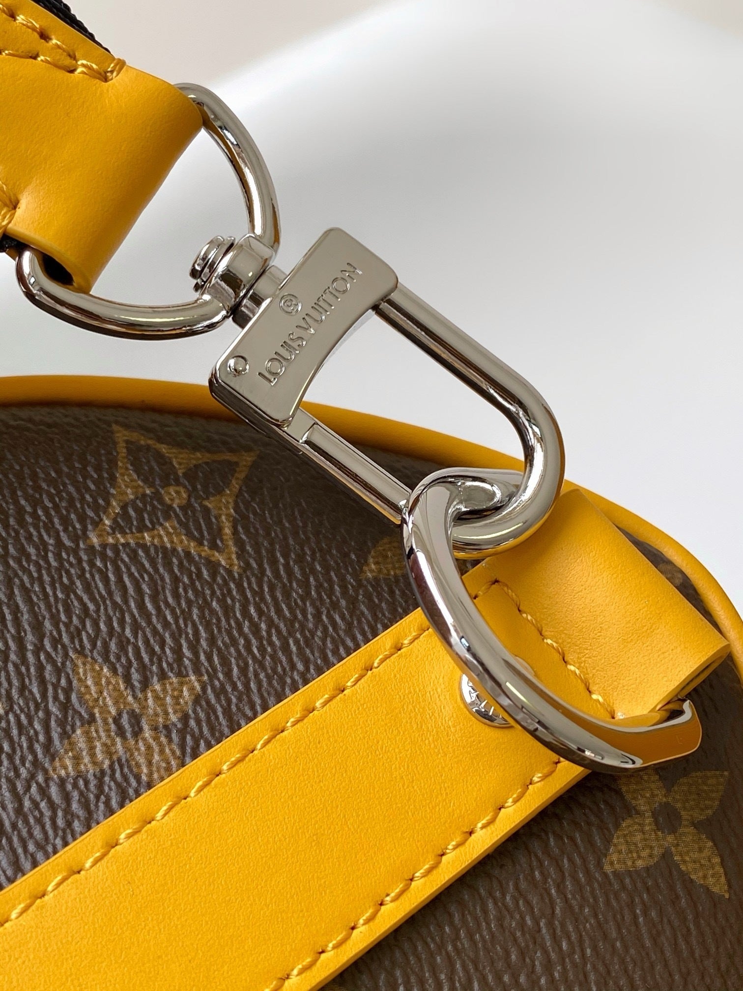 SAC LOUIS VUITTON