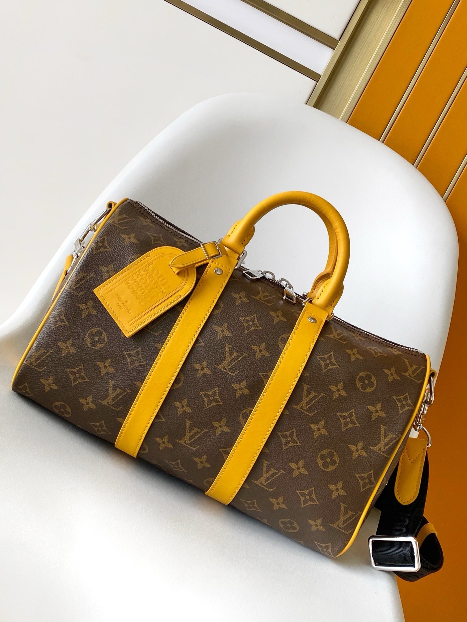 SAC LOUIS VUITTON