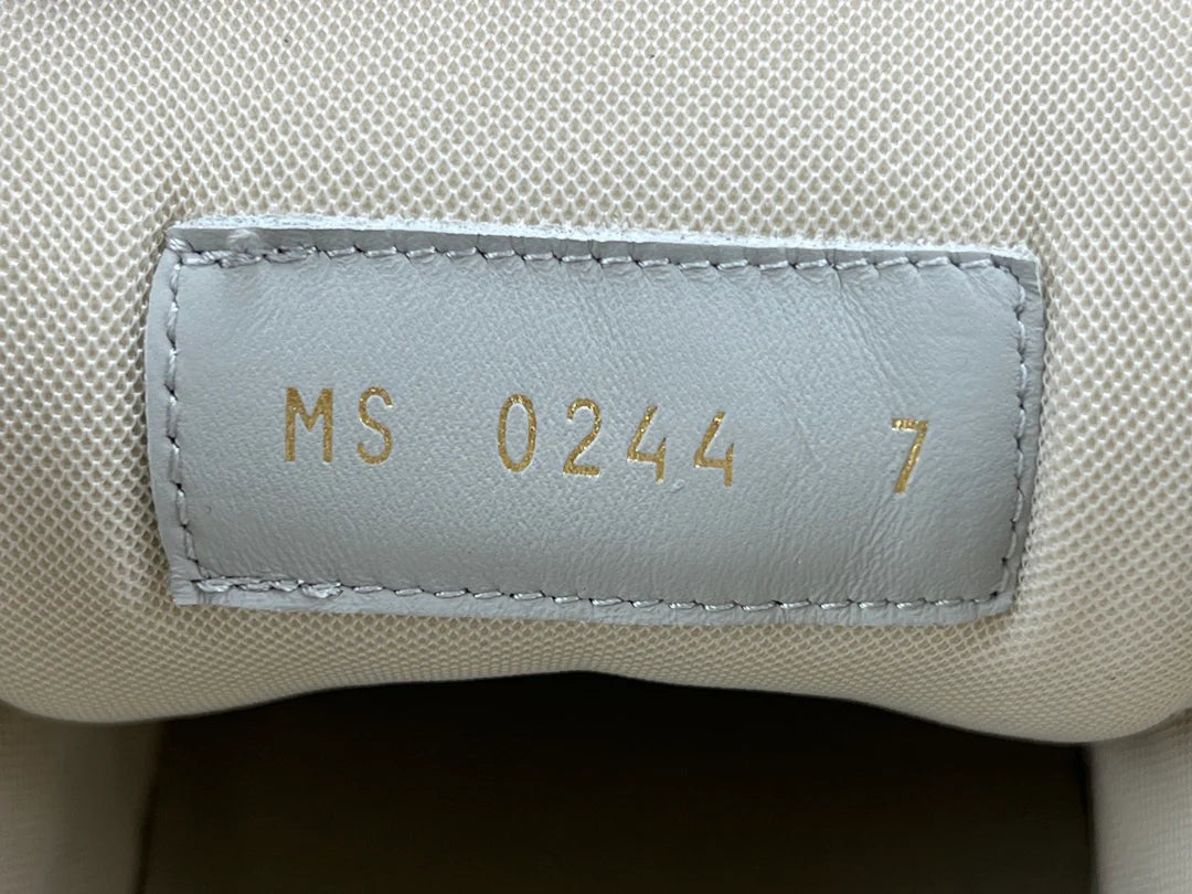 LOUIS VUITTON LV TRAINER SNEAKER BEIGE